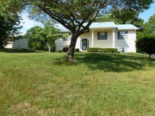 330 Brian Cir, Afton, TN 37616-4624