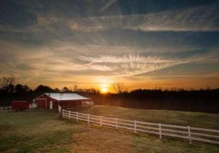 1690 Bridle Ct, York, SC 29745-8950