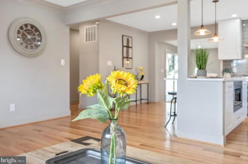 10104 Renfrew Rd, Silver Spring MD  20901-2015 exterior