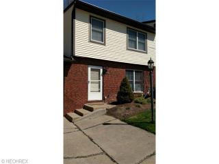 7035 Woodthrush Ave, Concord Township, OH 44077-2310
