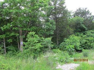 397 Shore Acres Dr, Powersite, MO 65731-3162