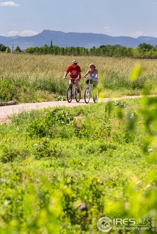 4622 Hahns Peak Dr, Loveland CO 80538-6159 exterior