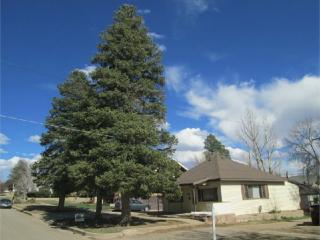 107 Cedar St, Farisita, CO 81089-1425