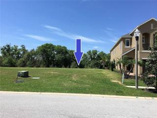 800 Desert Mountain Ct, Kissimmee, FL 34747-6439