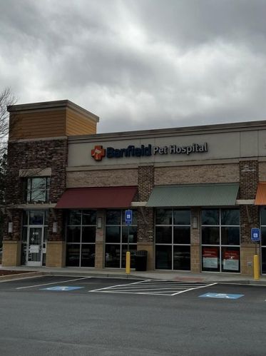 1710 Briergate Dr, Duluth GA  30097-4300 exterior