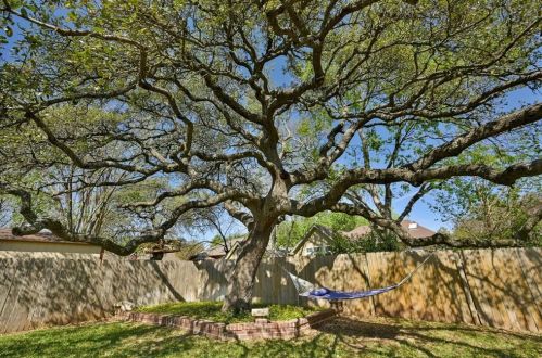205 Rio Vista Dr, Georgetown, TX 78626-4527