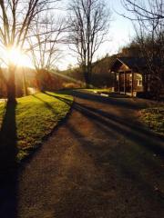 1720 Dripping Springs Rd, Seymour, TN 37865-7101