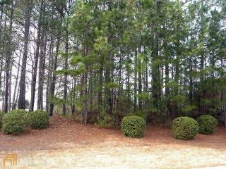 430 Winged Foot Dr, Mcdonough, GA 30253-4251
