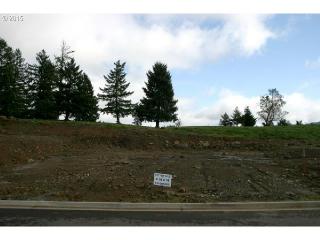 592 Wildcat Canyon Rd, Sutherlin OR  97479-8817 exterior