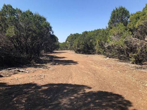 318 Fort Graham Rd, Whitney, TX 76692-4567