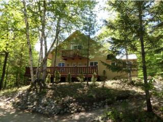 621 Pequawket Dr, Albany, NH 03818-6210