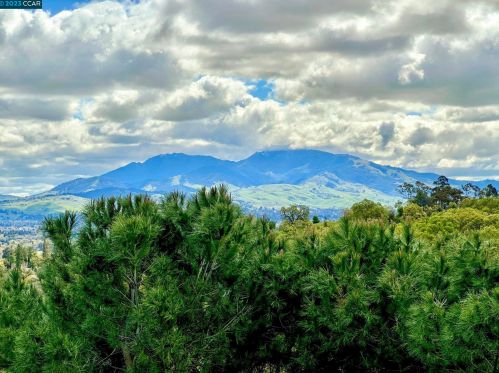 445 Ridgeview Dr, Concord CA  94523-1027 exterior