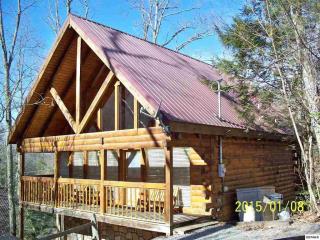 2029 Beach Front Dr, Pigeon Forge, TN 37876-8960