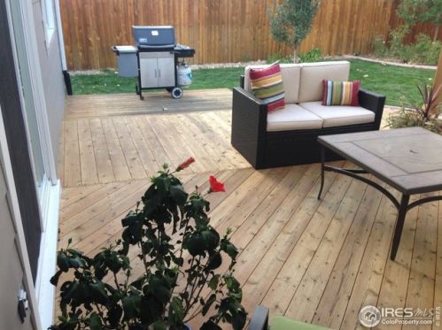 1324 Clementine Ct, Fort Collins CO  exterior