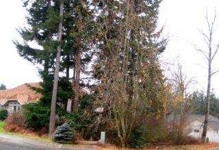 104 47th St, Bellingham, WA 98229-2194