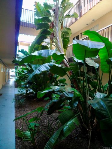 490 4th Ave, Chula Vista CA  91910-4400 exterior