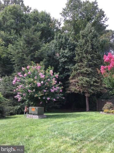 12943 Tourmaline Ter, Silver Spring MD 20904-5351 exterior