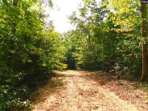 110 Firebird Ln, Pelion, SC 29123-9009
