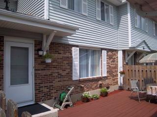 15 Scarlet Hawthorne Ct, Downers Grove IL  60517-1718 exterior