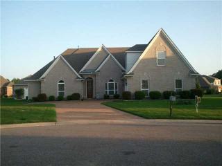 55 Blackhill Cv, Somerville, TN 38060-3437