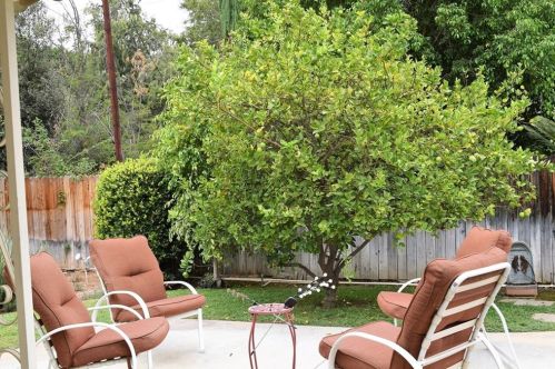 801 Apache Trl, Riverside CA  92507-6037 exterior