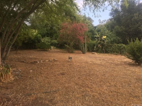 3142 Lincoln Ave, Altadena, CA 91001-4162