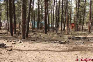 322 Forest Lakes Dr, Vallecito, CO 81122-9845