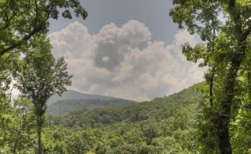947 Mountain Oak Rd, Ellijay, GA 30536-0026