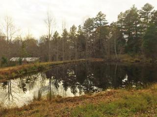 2921 Ferry Rd, Gladys, VA 24554-2668