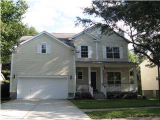 1647 Lazylake Ct, Charleston, SC 29412-8280