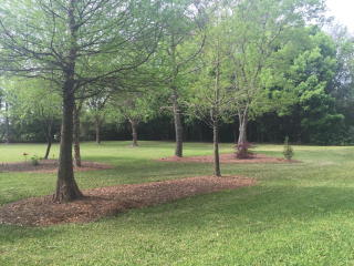 661 Jd Herndon Rd, Moultrie, GA 31788-2006