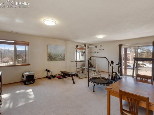 310 Panther Ct, Woodland Park CO exterior