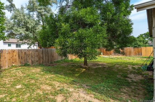 6413 Orbit Way, Fort Collins CO  80525-4018 exterior