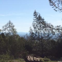 2440 Sunny Hill Rd, Rescue, CA 95672-9627