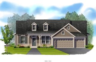 11790 Breeze Grass Way, Parker CO  80134-3143 exterior