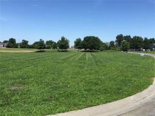 983 Kleefeld Ln, Saint Libory, IL 62282-0438
