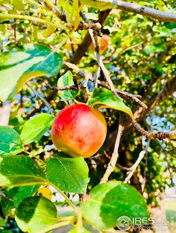 840 Taft Hill Rd, Fort Collins CO  80521-1323 exterior