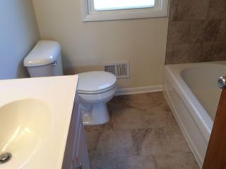1367 Perry St, Crete IL  60417-3024 exterior
