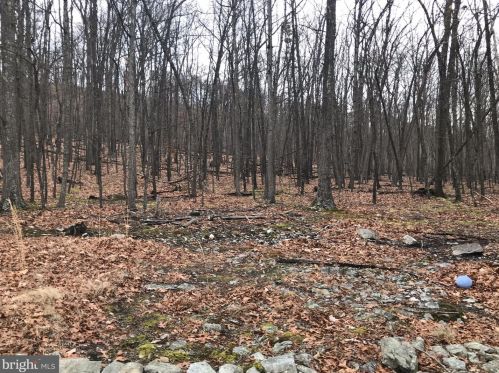 1391 Lost Riv Rdg Cir, Wardensville WV 26851-8514 exterior