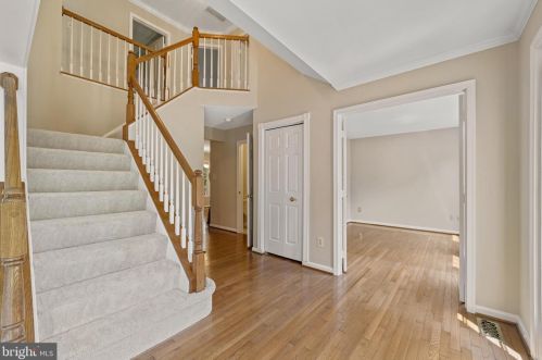 8104 Creekview Dr, Springfield VA  22153-1923 exterior