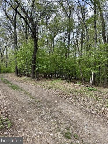 1765 Peters Mountain Ln, Upper Tract WV  26866 exterior