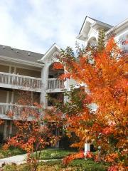 2301 Thoroughbred Cir, Midlothian VA  23113-1452 exterior