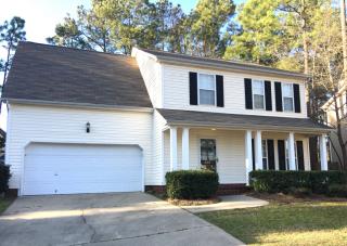 308 Tisbury Ct, Lexington, SC 29072-7748