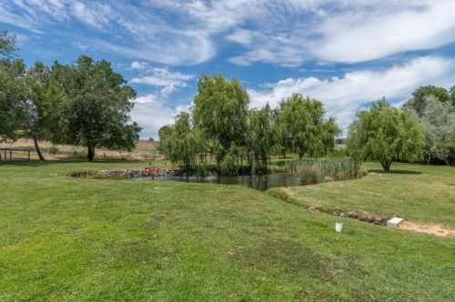 3365 Rattlesnake Rd, Newcastle, CA 95658-9388