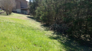 2 Patterson Ave, Branson, MO 65616-9689
