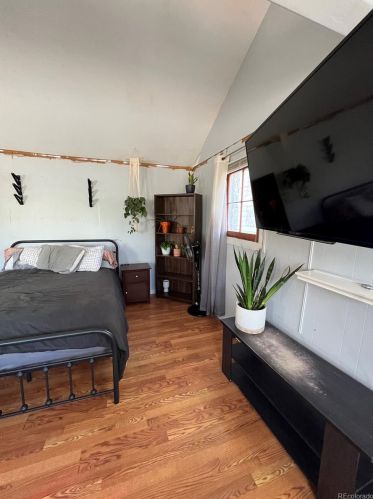 623 Chestnut St, Leadville CO  80461-3905 exterior