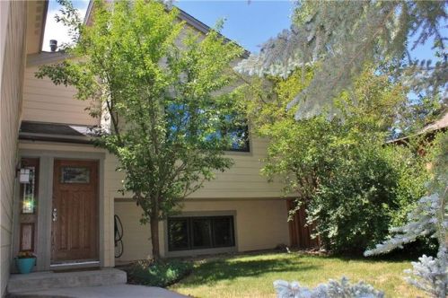 1601 Badger Ln, Silverthorne, CO 80498-9206
