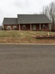 120 Shadows Lawn Dr, Athens, TN 37303-3953