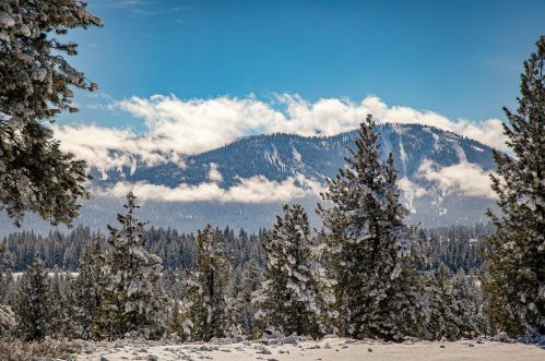 12381 Lookout Loop, Truckee CA  96161-4528 exterior