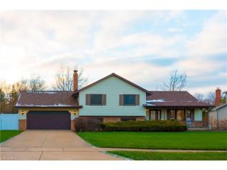7642 Crimson Ct, Concord Township, OH 44060-7078